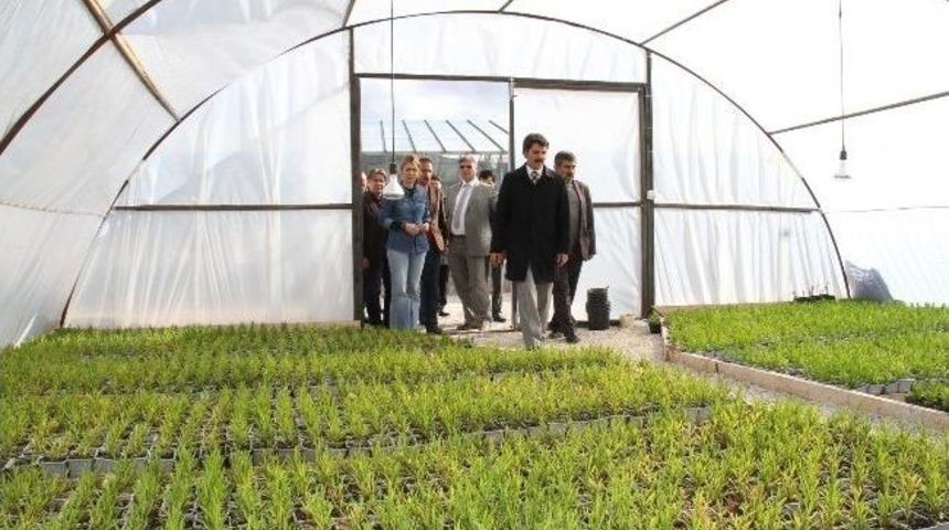 Başkan &Ccedil;akır&rsquo;dan Bitki Parkına Ziyaret