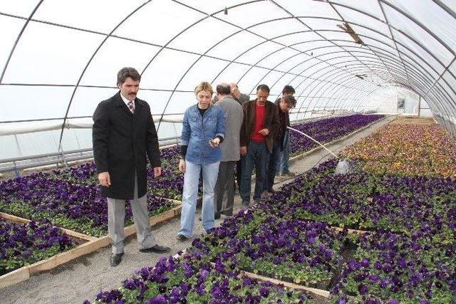 Başkan Çakır’dan Bitki Parkına Ziyaret