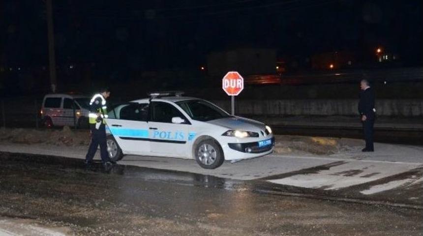 Yola D&ouml;k&uuml;len Hamsiler S&uuml;r&uuml;c&uuml;lere Zor Anlar Yaşattı