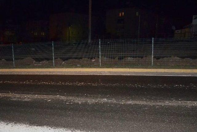 Yola Dökülen Hamsiler Sürücülere Zor Anlar Yaşattı 1