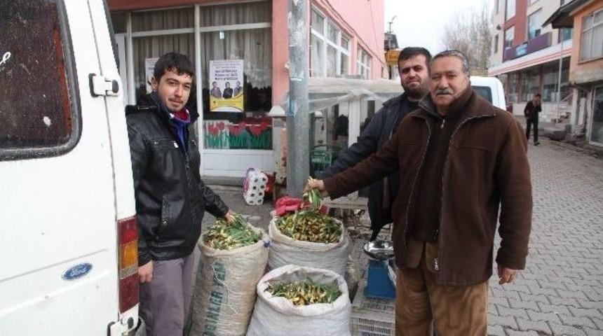 Varto&rsquo;da G&uuml;lbahar Bitkisi Tezgahtaki Yerini Aldı