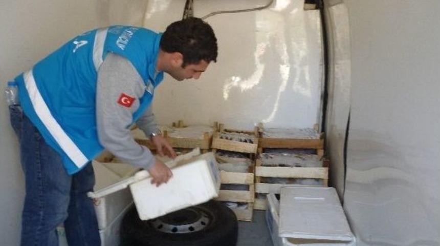 Marmaris&rsquo;te Balık Nakil Ara&ccedil;ları Denetlendi