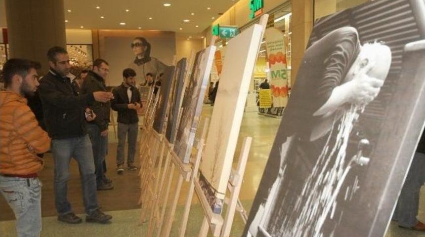 &Ouml;ğrendiler, &Uuml;rettiler, Sergilediler