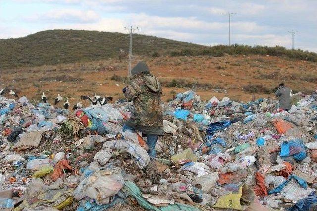 (özel Haber) Çöplükte Fotoğraf Sanatı