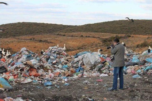 (özel Haber) Çöplükte Fotoğraf Sanatı