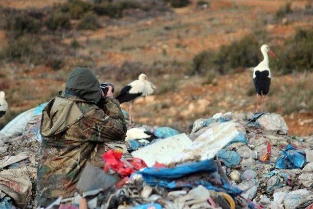 (özel Haber) Çöplükte Fotoğraf Sanatı