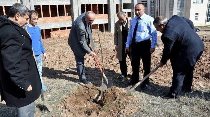 C&uuml; İlahiyat Fak&uuml;ltesi&rsquo;nde Fidan Dikimi