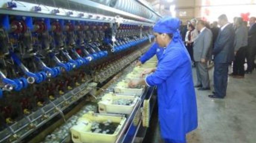 Yaş Kozaya 35 Lira Destek Verilecek