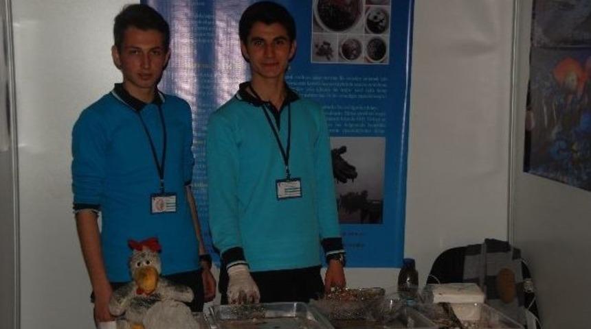 &Ccedil;evre Dostu Pomza