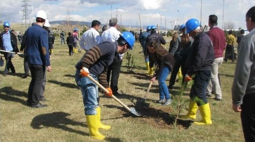 &Ccedil;anakkale Zaferi&rsquo;ni Fidan Dikerek Kutladılar