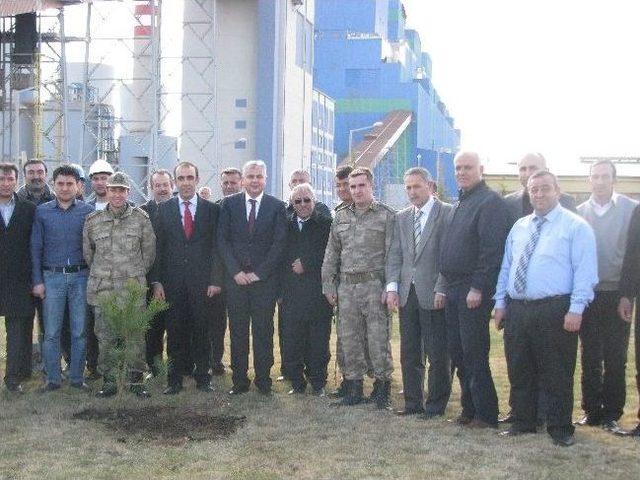 Çanakkale Zaferi’ni Fidan Dikerek Kutladılar