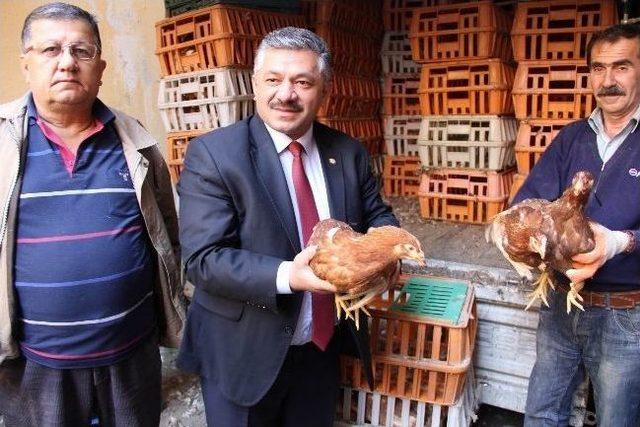 Köy Yumurtası İçin Tavuk Dağıtıldı