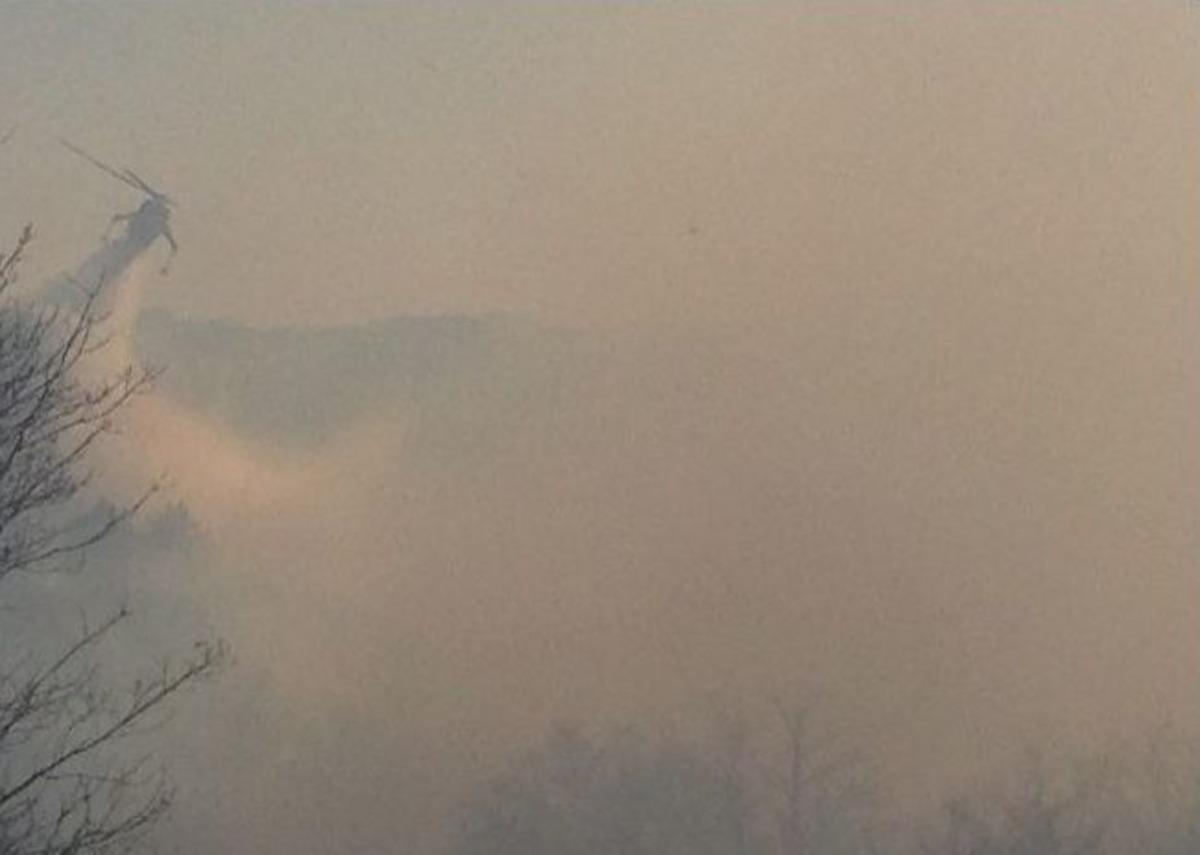 Şile'deki Orman Yangını Kontrol Altına Alındı