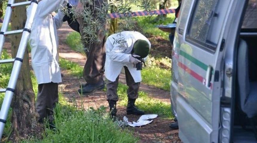 Zeytin Ağacına Kendini Astı