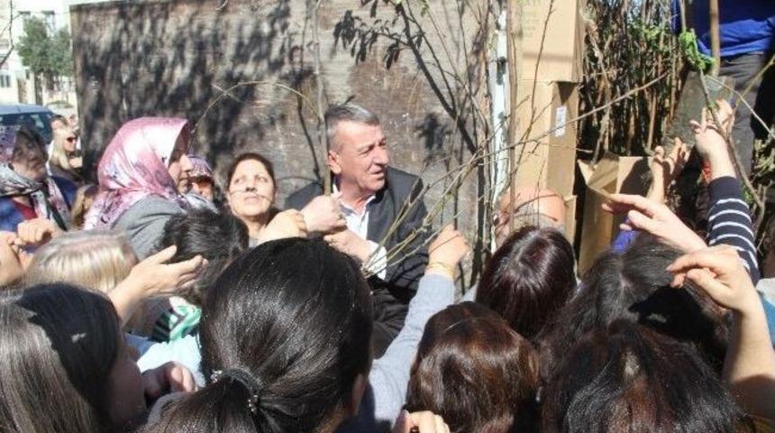 Gaziemir'de ''yeşil'' Seferberliği