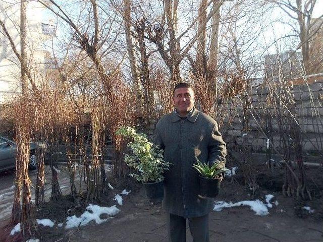 Adilcevaz’da Fidan Satışları Başladı 2