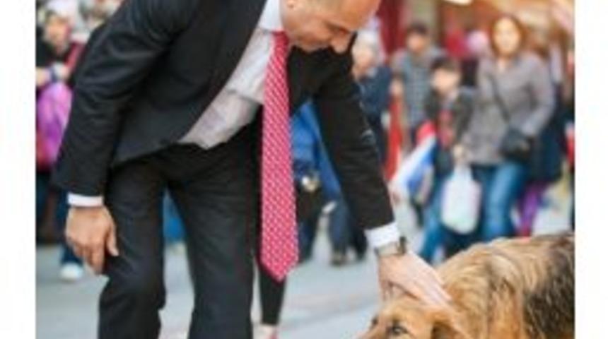 Tahsin Tarhan; &ldquo;sokakta Yaşayan Hayvanlar İ&ccedil;in Barınak Yapacağız&rdquo;