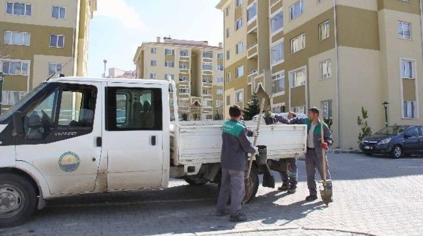 G&ouml;lbaşı Toki&rsquo;ye 2 Bin G&uuml;l