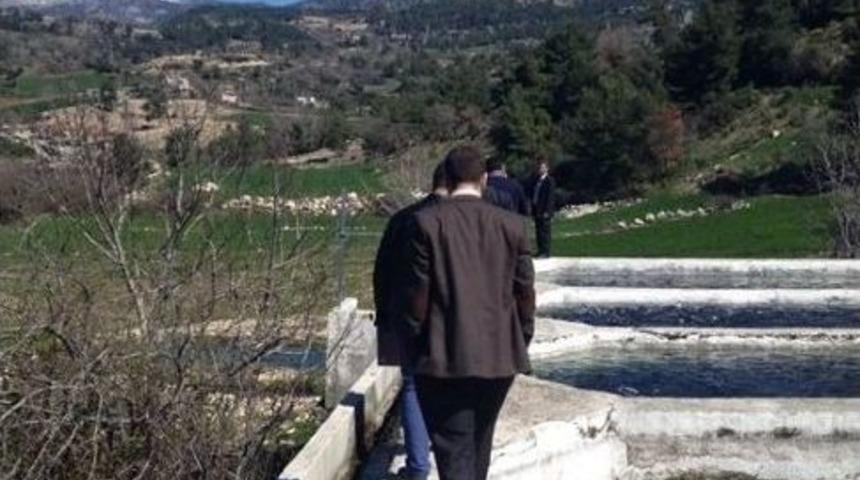 Muğlalı Celeplere Hayvan Nakli Eğitimi