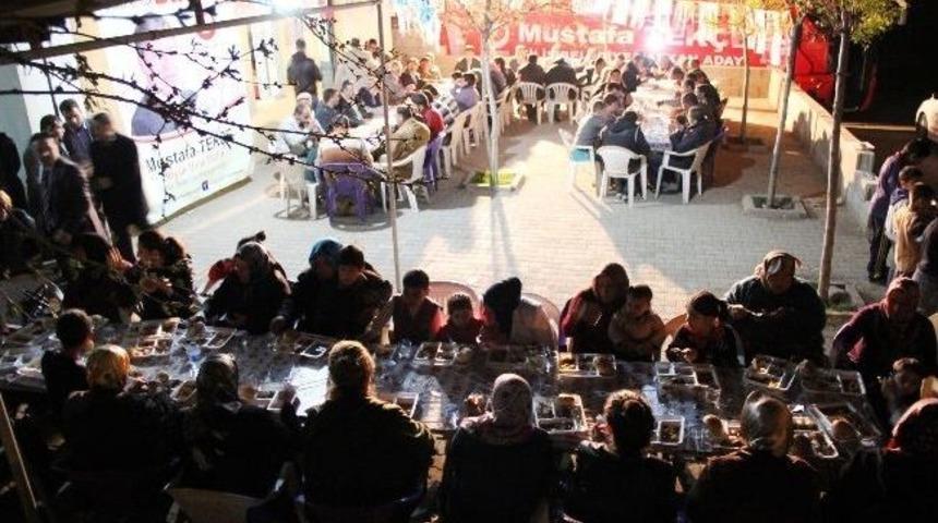 Oylum'da, Tek&ccedil;e Coşkusu