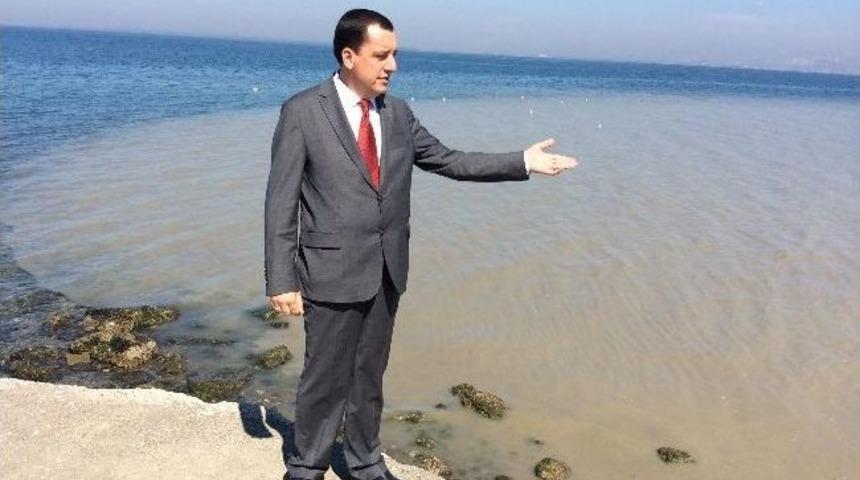 Ak Partili Dereli, Kanayan Yaraya Parmak Bastı