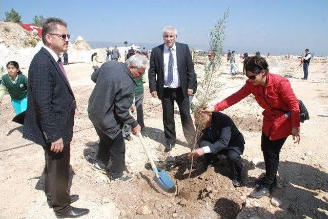 Mermer Çıkarılan Alanlar Çanakkale Şehitleri Anısına Ağaçlandırıldı