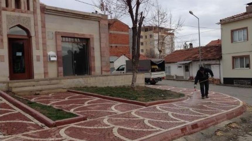 Park Ve Bah&ccedil;elerde İla&ccedil;lama Yapıldı