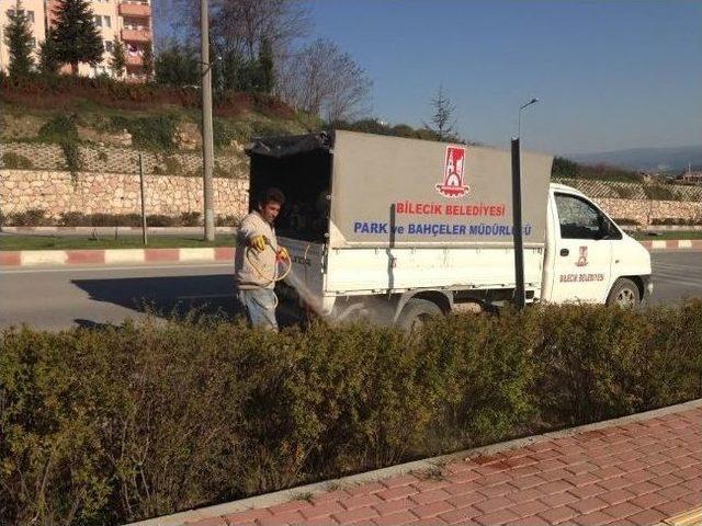 Park Ve Bahçelerde İlaçlama Yapıldı