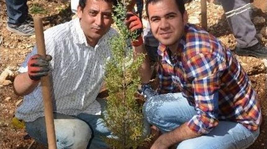 Odt&uuml; Deniz Bilimleri Enstit&uuml;s&uuml;&rsquo;nde Ağa&ccedil;landırma &Ccedil;alışması