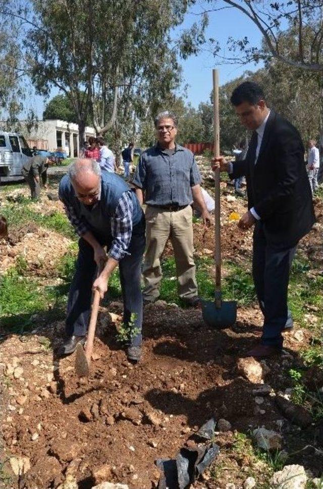 Odtü Deniz Bilimleri Enstitüsü’nde Ağaçlandırma Çalışması