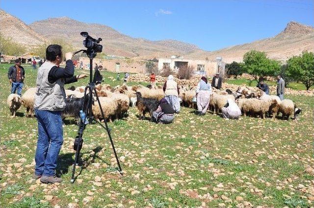 Emin Arbani, Kürtçe Klip Çekmek Üzere Mardin'e Geldi