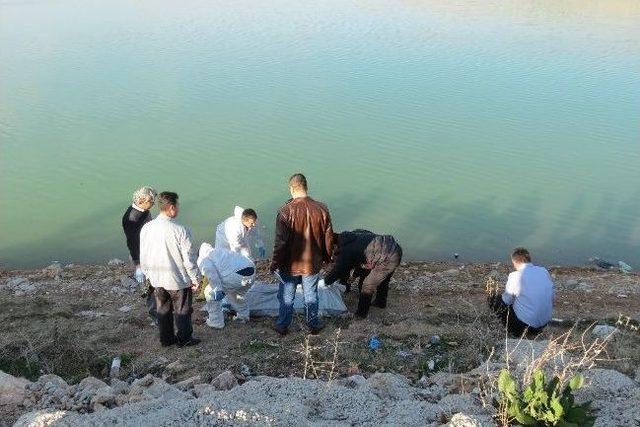 (&ouml;zel Haber) 3 G&uuml;n &Ouml;nce Eşini Şikayet Eden Kadın, G&ouml;lette &Ouml;l&uuml; Bulundu 2