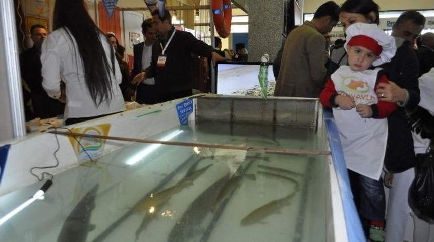 Kayseri Tarım Fuarı A&ccedil;ıldı