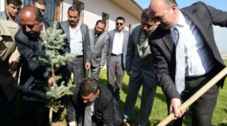 Uşak Cem Evi&rsquo;nden Ağa&ccedil; Dikme Etkinliği