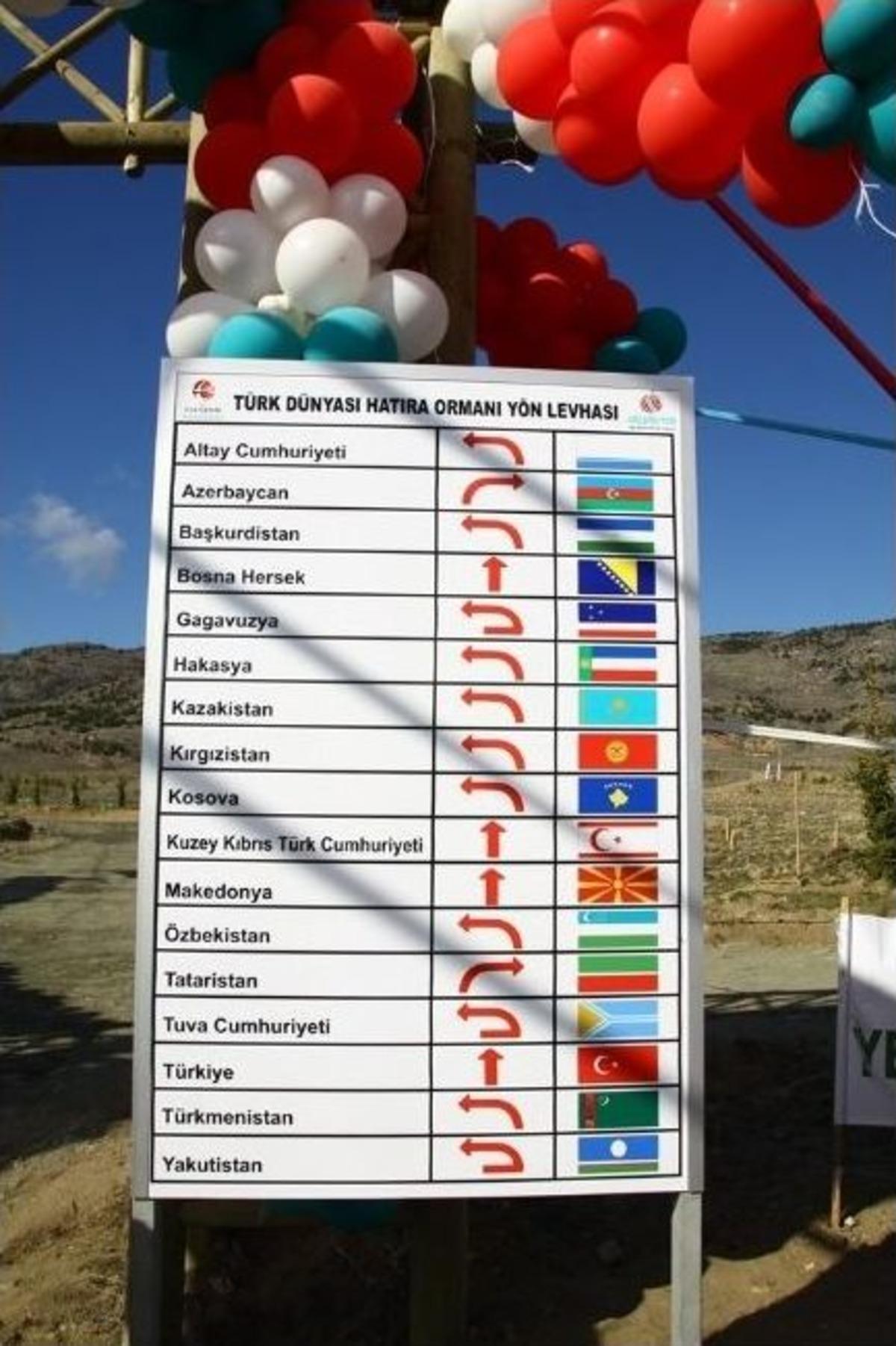 T&uuml;rk D&uuml;nyası Ormanı