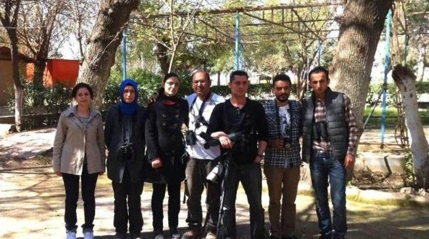 Sayısı Azalan Ser&ccedil;elere Dikkat &Ccedil;ekmek Amacıyla D&uuml;rb&uuml;nle Ser&ccedil;e Saydılar