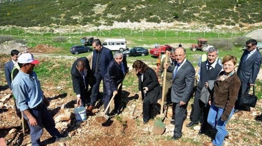 Dokuz Eyl&uuml;l &Uuml;niversitesi&rsquo;nde Ağa&ccedil; Dikme Ş&ouml;leni