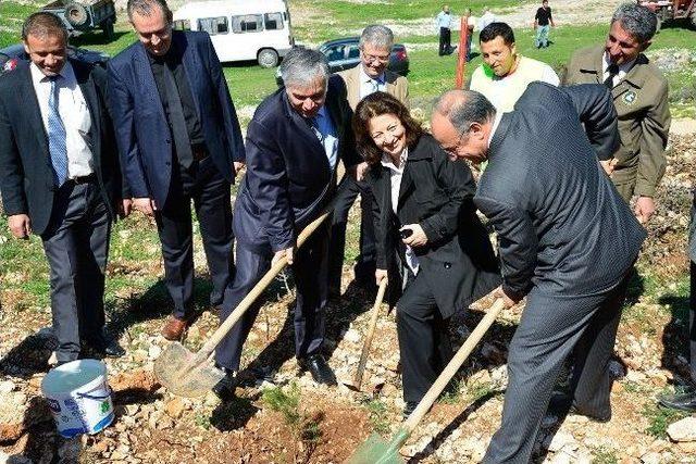 Dokuz Eyl&uuml;l &Uuml;niversitesi&rsquo;nde Ağa&ccedil; Dikme Ş&ouml;leni 1