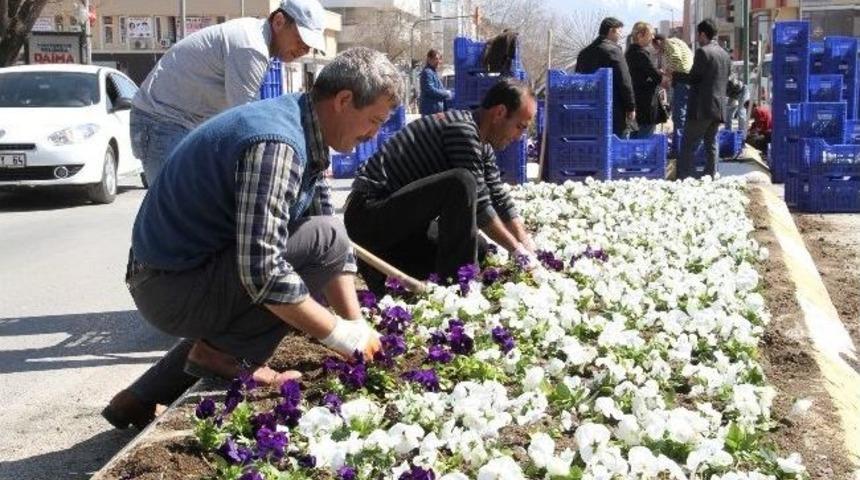 Erzincan&rsquo;da Binlerce &Ccedil;i&ccedil;ek Toprakla Buluştu