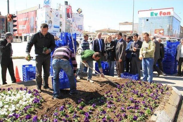 Erzincan&rsquo;da Binlerce &Ccedil;i&ccedil;ek Toprakla Buluştu 1