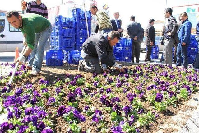 Erzincan&rsquo;da Binlerce &Ccedil;i&ccedil;ek Toprakla Buluştu 2