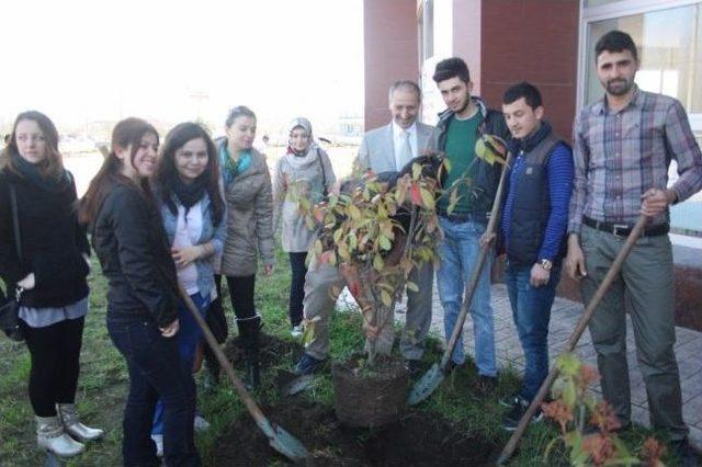 Sağlık İ&ccedil;in Daha Yeşil T&uuml;rkiye 1