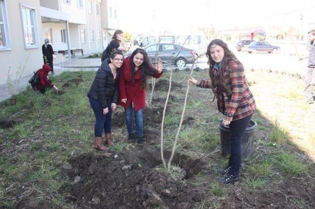 Sağlık İ&ccedil;in Daha Yeşil T&uuml;rkiye 2
