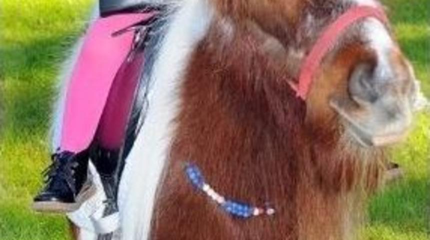 Glorıa Havyanat Bah&ccedil;esi &Ccedil;ocuklara Sevgi Aşılıyor