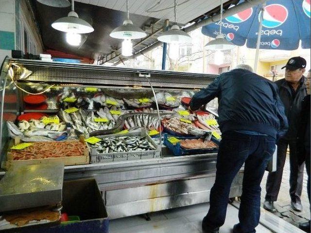 Mudanyalı Balık&ccedil;ılar 40 Yıl Sonra Yılan Balığı Yakaladı 2