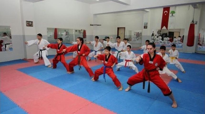 Şehitkamilli Taekwandocular T&uuml;rkiye Finallerinde