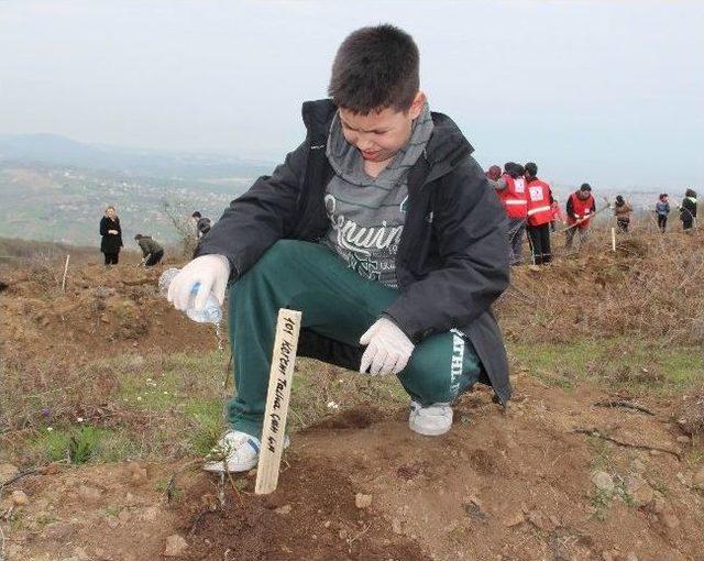 Öğrenciler 300 Fidan Dikti