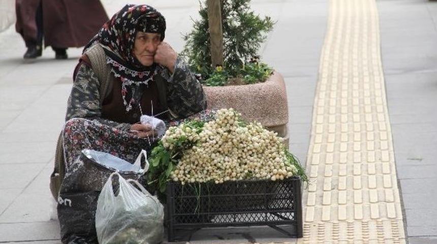 Herşeye Rağmen Ş&uuml;kredebilmek