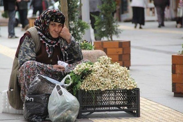 Herşeye Rağmen Şükredebilmek