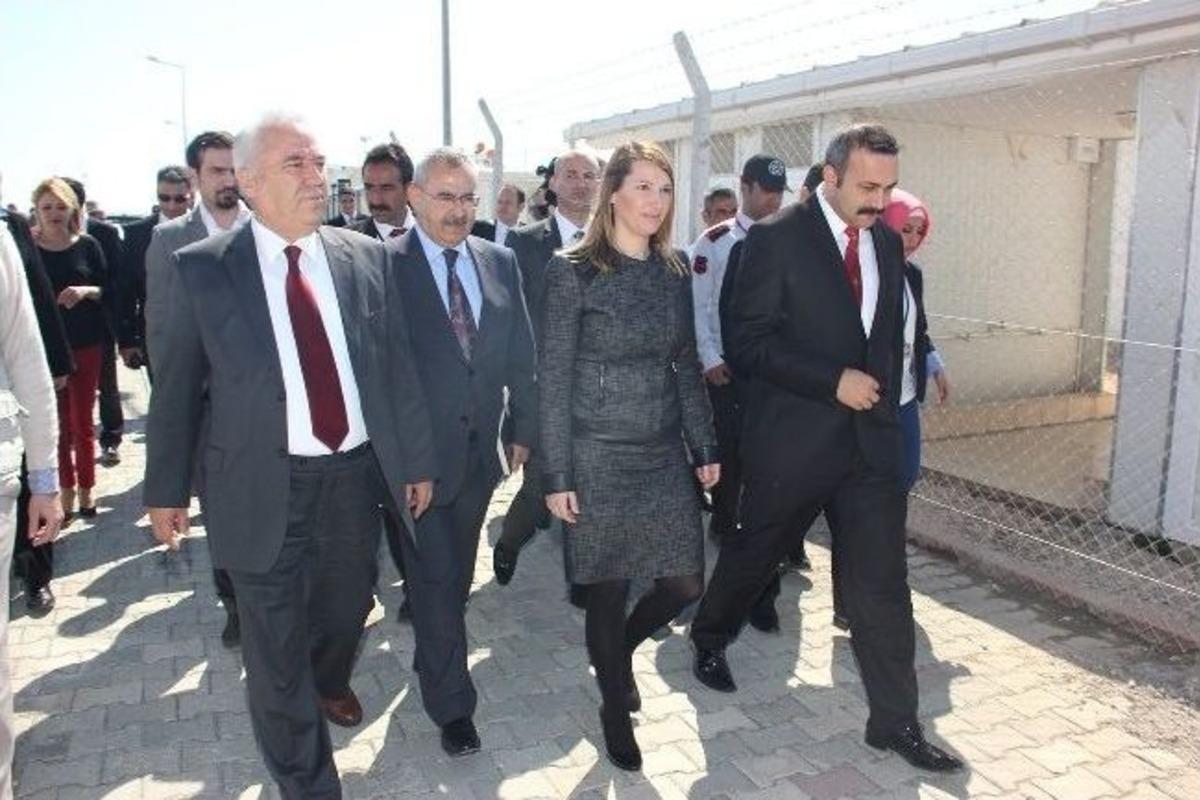 Abd'li Hıggınbottom M&uuml;lteci Kampında
